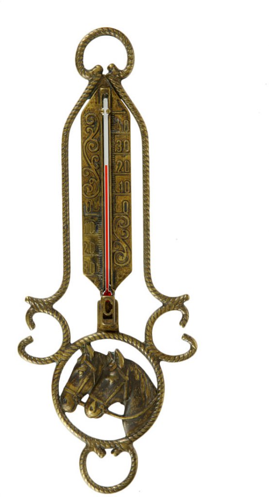 Термометр 130655