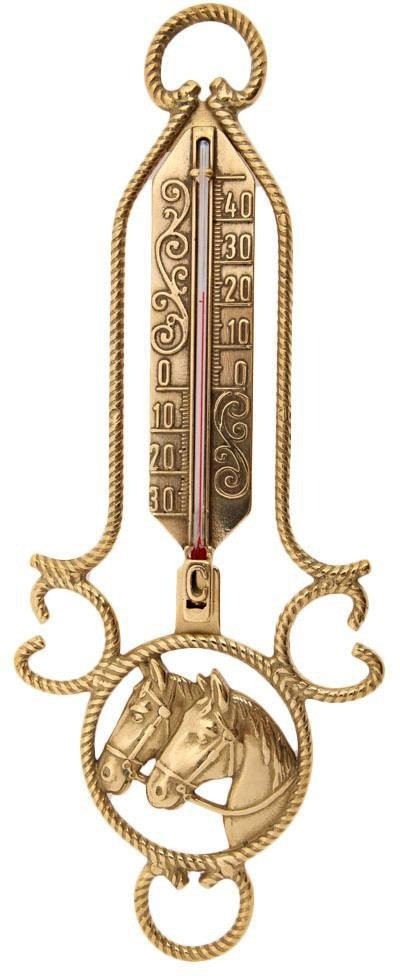 Термометр 00655